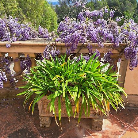 Casa De Las Vistas Palma de Mallorca Ngoại thất bức ảnh