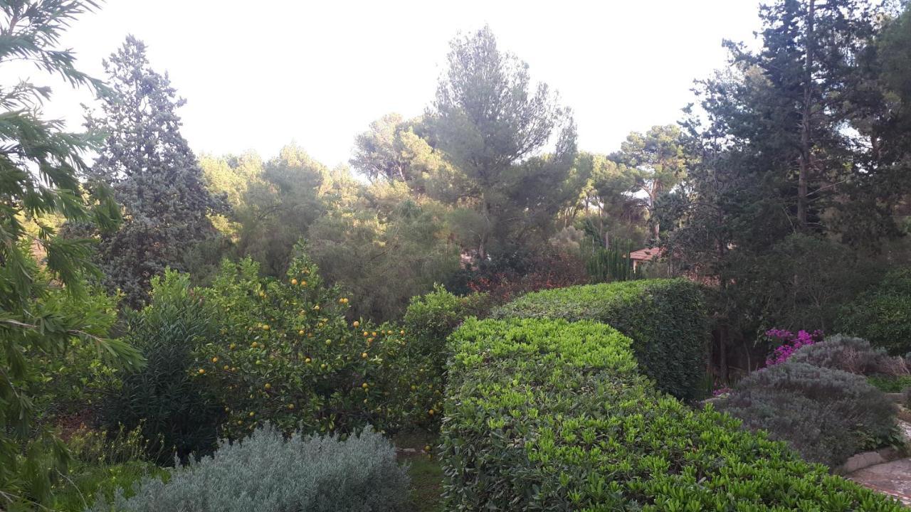 Casa De Las Vistas Palma de Mallorca Ngoại thất bức ảnh