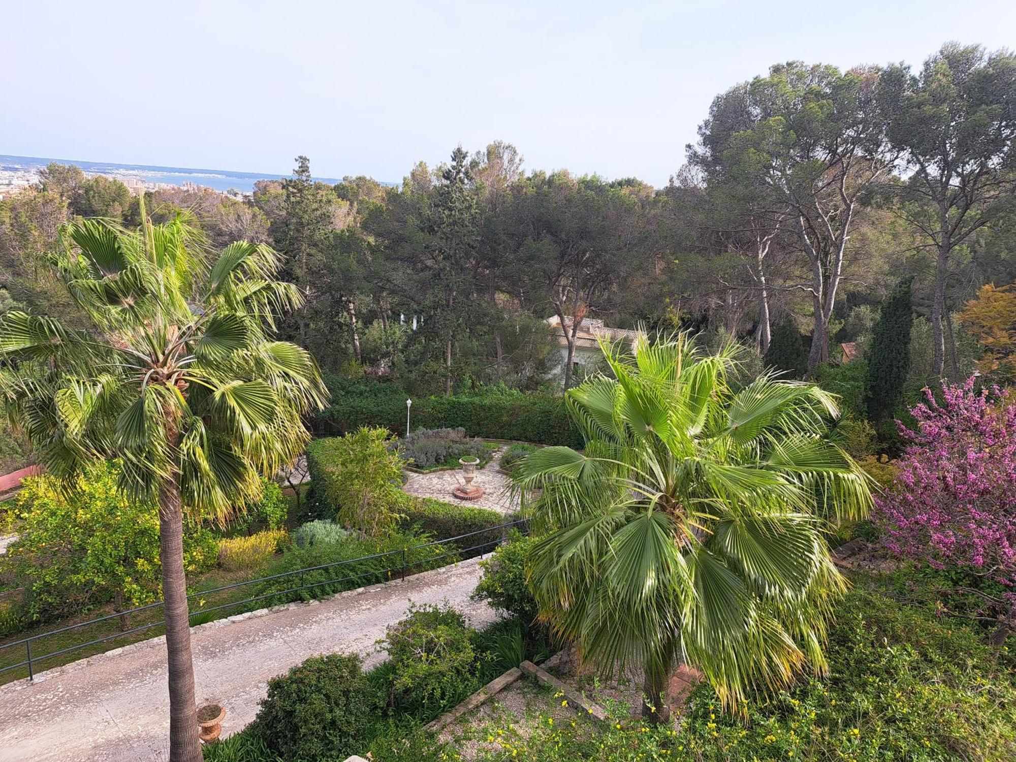 Casa De Las Vistas Palma de Mallorca Ngoại thất bức ảnh