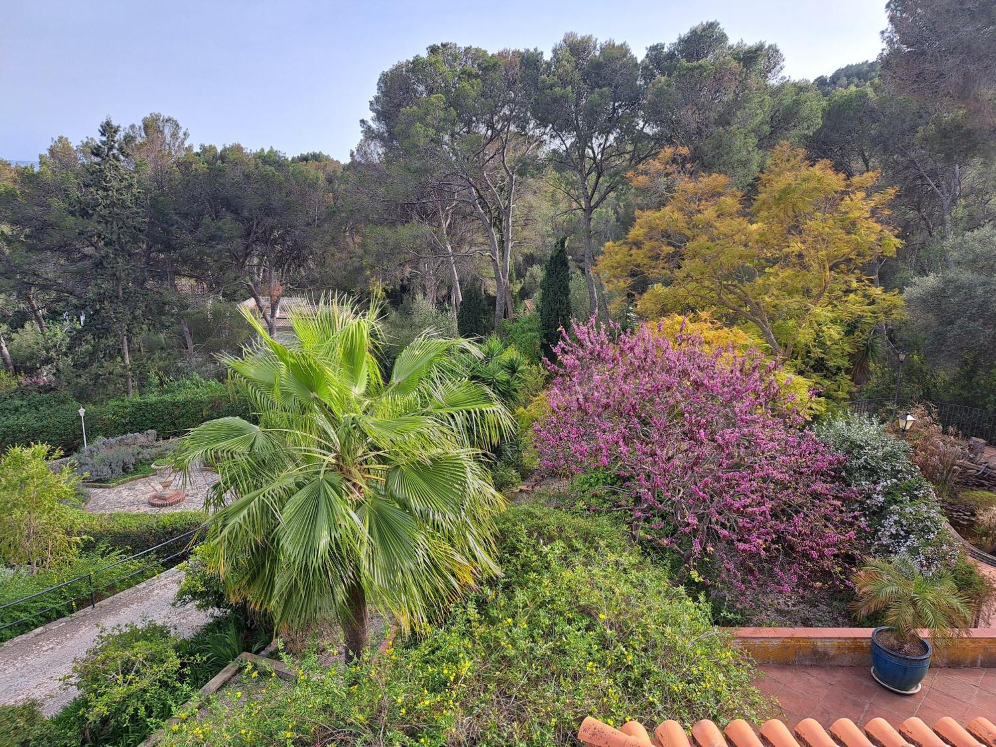 Casa De Las Vistas Palma de Mallorca Ngoại thất bức ảnh