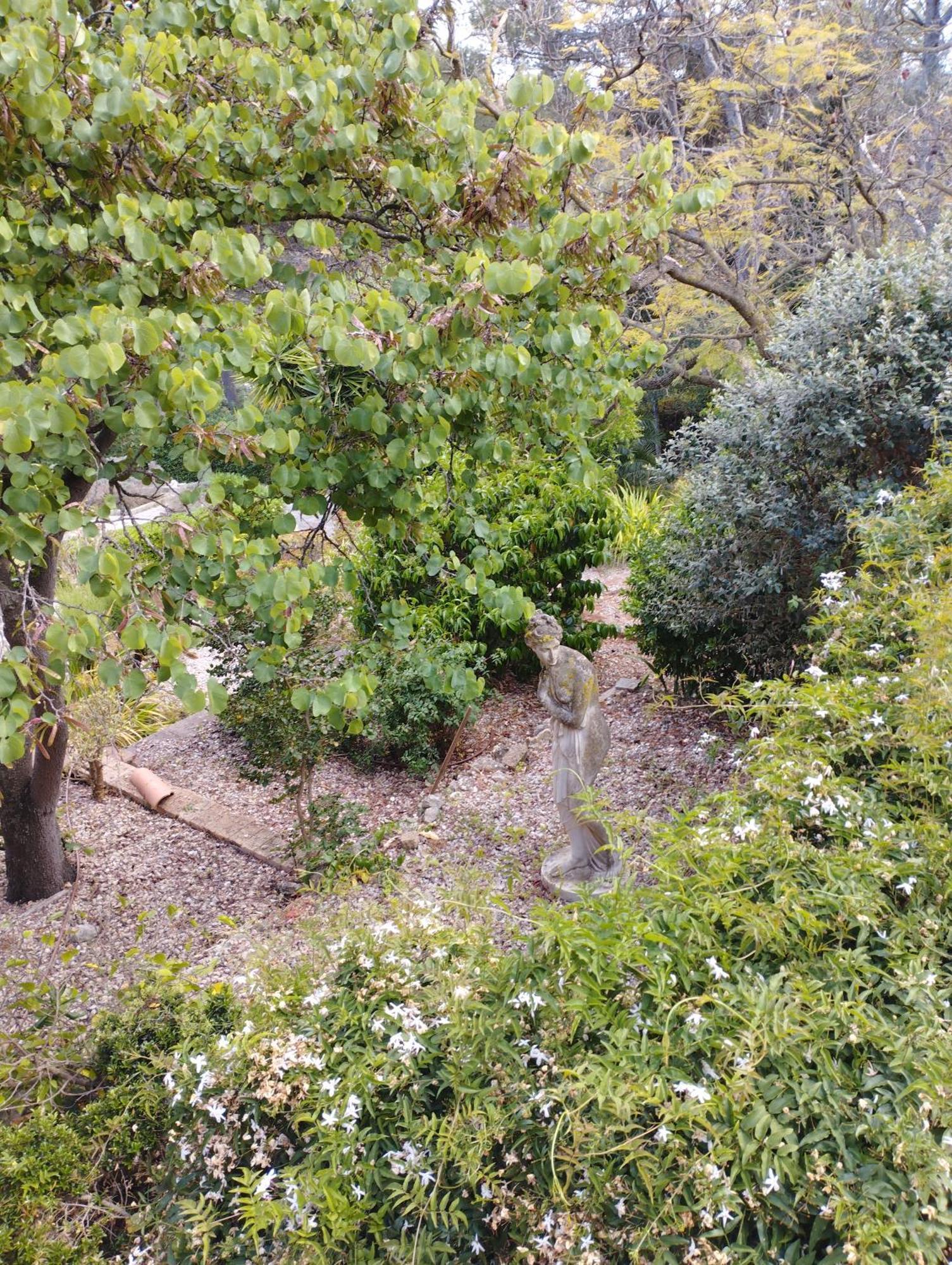 Casa De Las Vistas Palma de Mallorca Ngoại thất bức ảnh