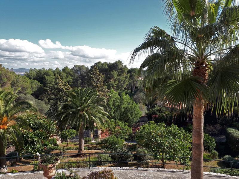 Casa De Las Vistas Palma de Mallorca Ngoại thất bức ảnh